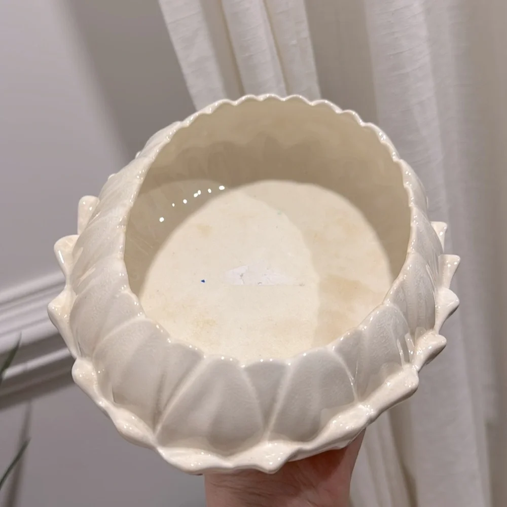 Spode vintage velamour